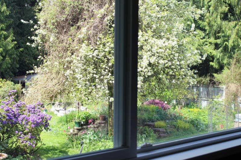 View from Bidet. Unplanned for benefit of moving toilet and installing a pocket door! photo ViewfmBidet_zps748f56eb.jpg
